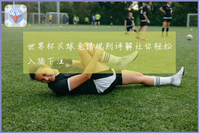 世界杯买球竞猜规则详解让你轻松入场下注
