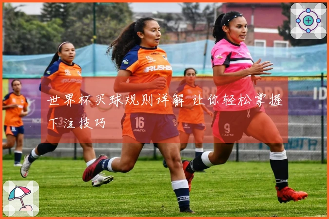 世界杯买球规则详解 让你轻松掌握下注技巧