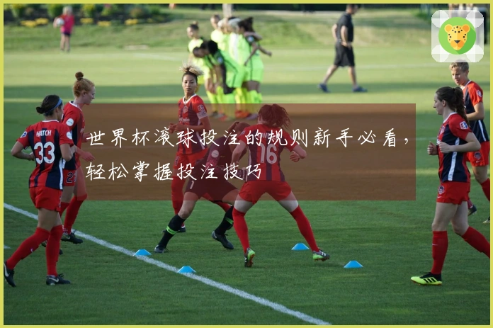 世界杯滚球投注的规则新手必看，轻松掌握投注技巧