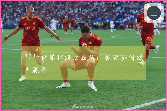 2026世界杯投注技巧，教你如何提升赢率