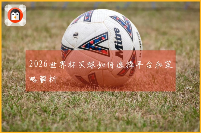 2026世界杯买球如何选择平台和策略解析