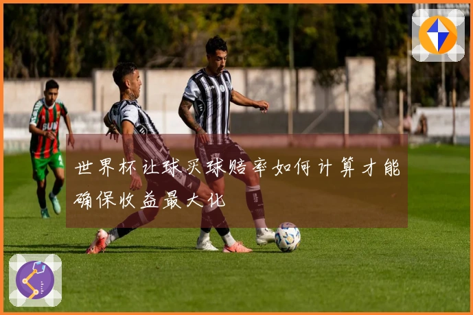 世界杯让球买球赔率如何计算才能确保收益最大化