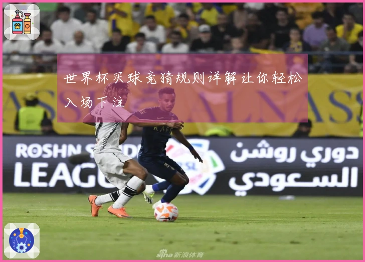 世界杯买球竞猜规则详解让你轻松入场下注