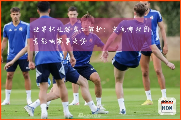 世界杯让球盘口解析：究竟哪些因素影响赛事走势